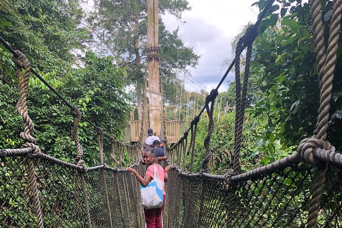 Ghana Private Historic Tour through Castles and Nature - Why this one-day trip works from Accra