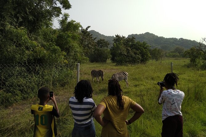 Half-day Accra Safari Tour - Key points to know before booking