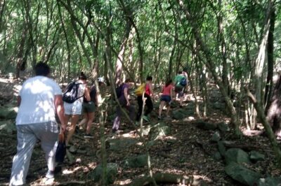 Half-day Accra Safari Tour