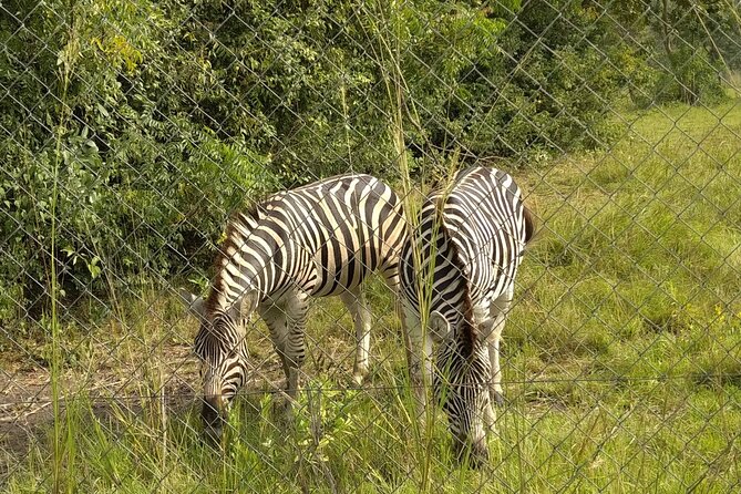 Half-day Accra Safari Tour - Four ancestral hills and caves