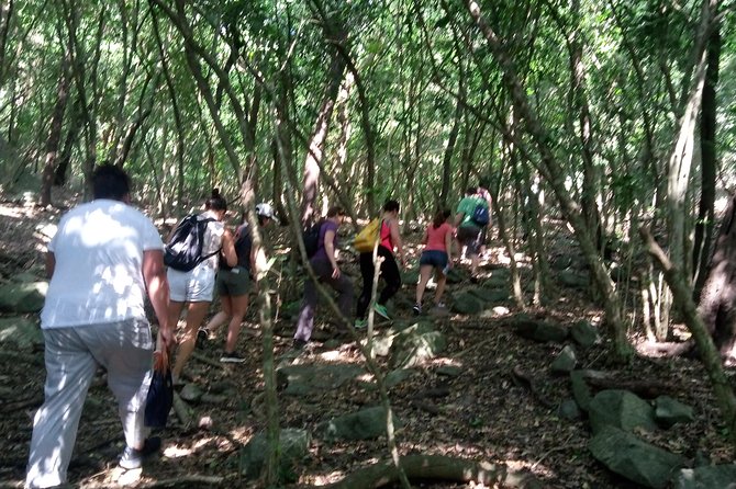 Half-day Accra Safari Tour - Riding from Accra in a private vehicle