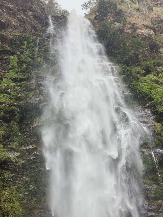 Hike Mount Afadjato and Visit Wli Falls and Monkey Sanctuary - Should you book Mount Afadjato, Wli Falls, and Tafi Atome?