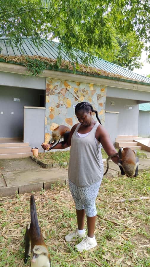 Hike Mount Afadjato and Visit Wli Falls and Monkey Sanctuary - Tafi Atome Monkey Sanctuary and Cultural Village
