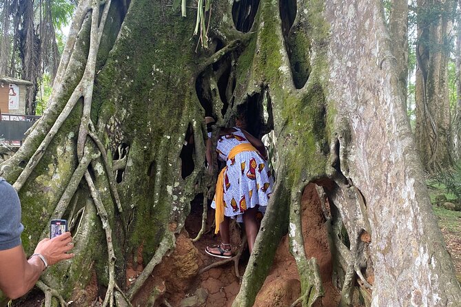 Private Aburi Hill Guided Tour - Peduase Lodge and the First Mountain View