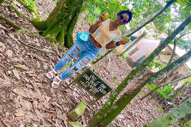 Private Aburi Hill Guided Tour - Aburi Crafts Village and Local Shopping