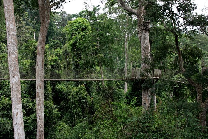 Private Multi-Day Ghana Tour about Culture History and Wildlife - 7 Days - Kumasi brings kings, markets, and everyday commerce