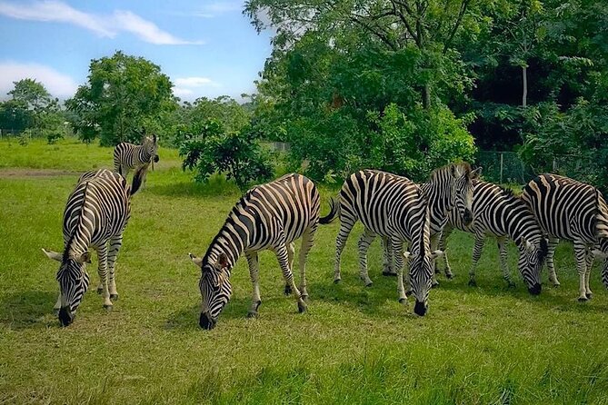 Shai Hills Half Day Accra Safari, Hike & see Animals - Key points at a glance