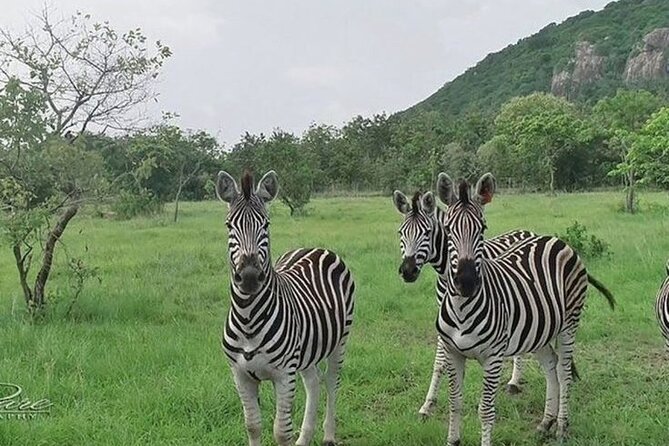 Shai Hills Half Day Accra Safari, Hike & see Animals - A private ride from Kotoka Airport