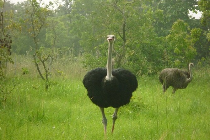 Shai Hills Half Day Accra Safari, Hike & see Animals - Entering Shai Hills Resource Reserve