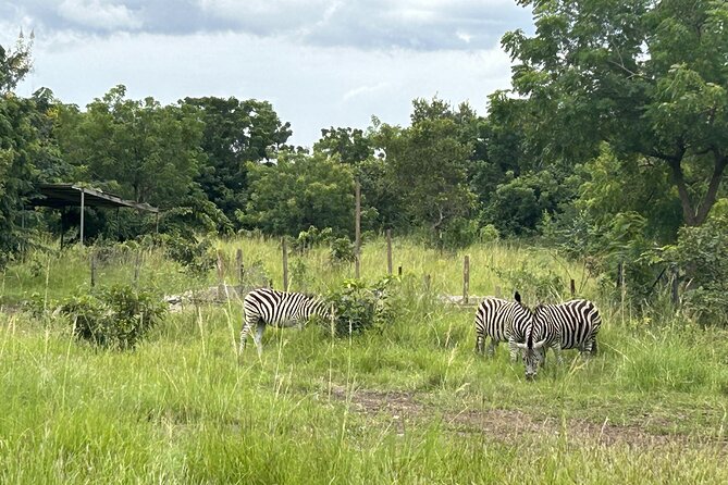 Shai Hills Safari - Hike & See Animals - What the $130 price really buys