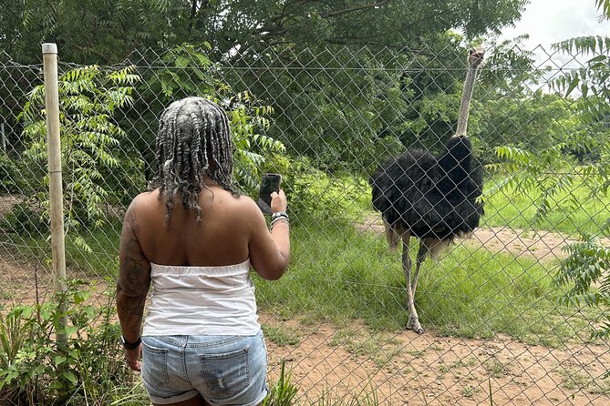 Shai Hills Safari - Hike & See Animals - Who should book this experience