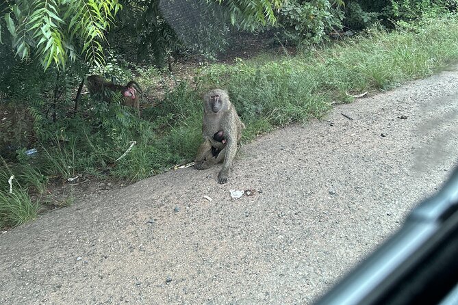 Shai Hills Safari - Hike & See Animals - Useful details before you go