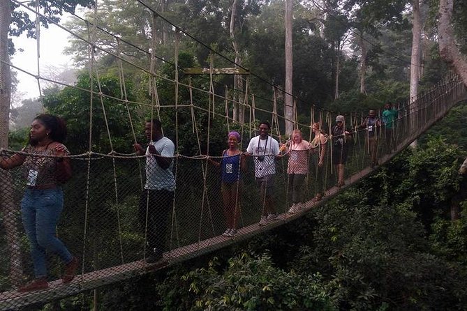 The Best Of Cape Coast Tour - Timing, transport, and physical effort