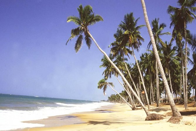 The Best Of Cape Coast Tour - Who will get the most from this experience?