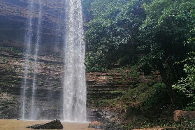 The Botanical Gardens and Water Falls Experience - Private Tour - What the Private Format Adds