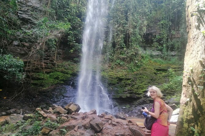 The Botanical Gardens and Water Falls Experience - Private Tour - Food, Water, and What to Pack