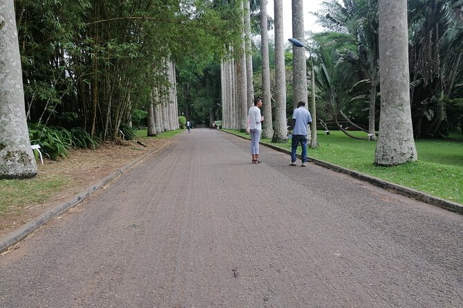 The Botanical Gardens and Water Falls Experience - Private Tour - Who Will Enjoy This Accra Nature Tour