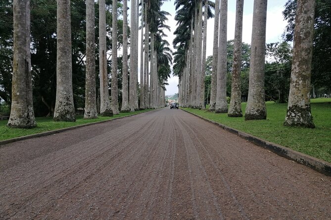 The Botanical Gardens and Water Falls Experience - Private Tour - One Hour Among the Plants at Aburi Botanical Gardens
