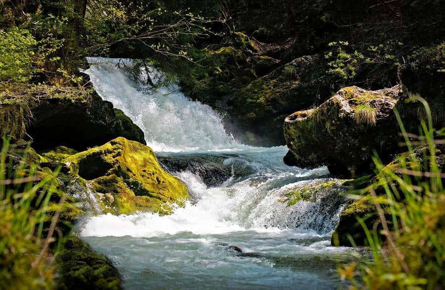 Visit Aburi Garden, Tetteh Quarshie Cocoa Farm & Waterfall - Walking through Aburi Botanical Gardens